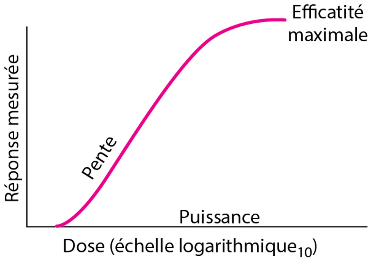 Courbe dose-réponse hypothétique