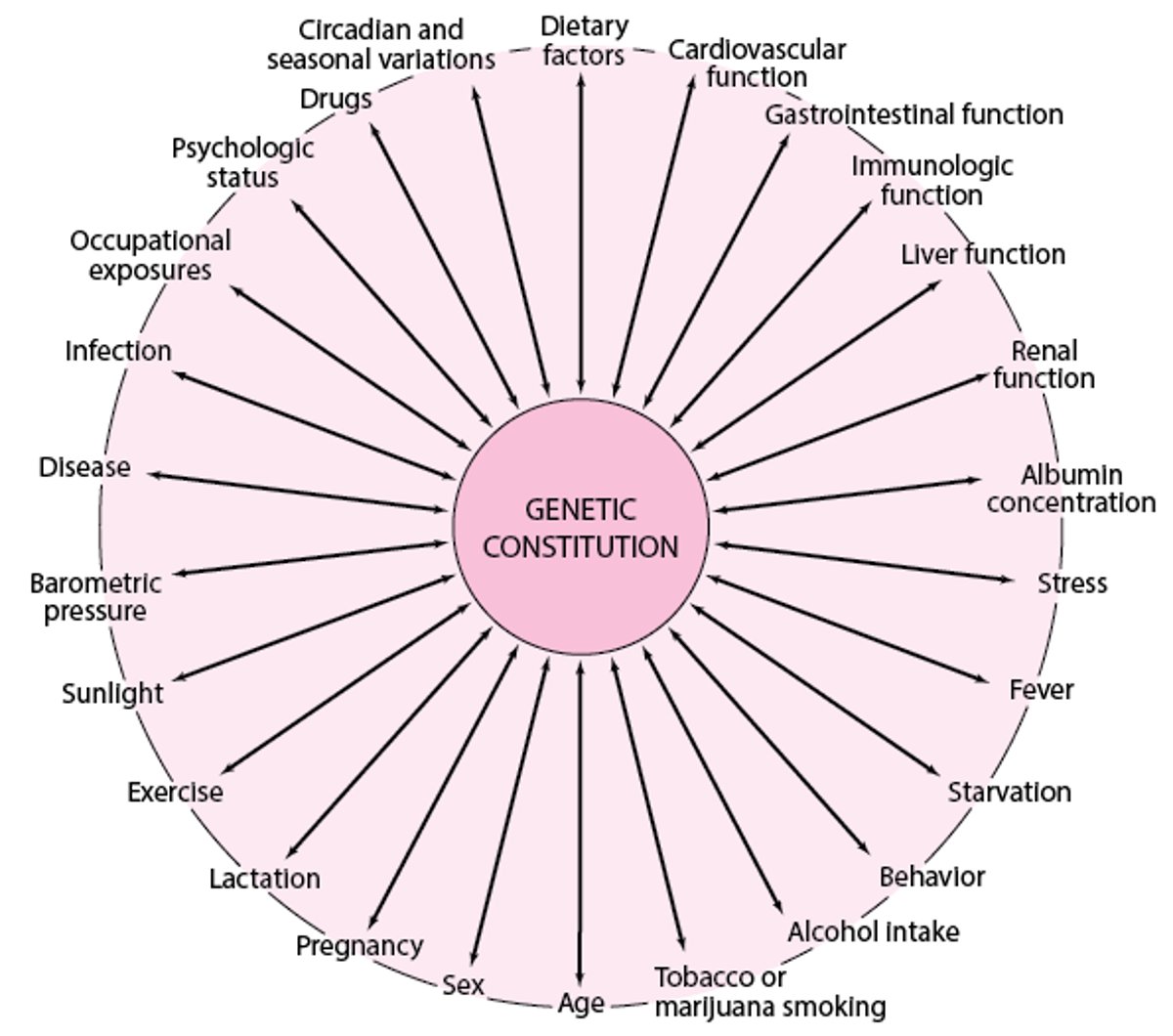 Genetic, environmental, and developmental factors that can interact, causing variations in medication response among patients