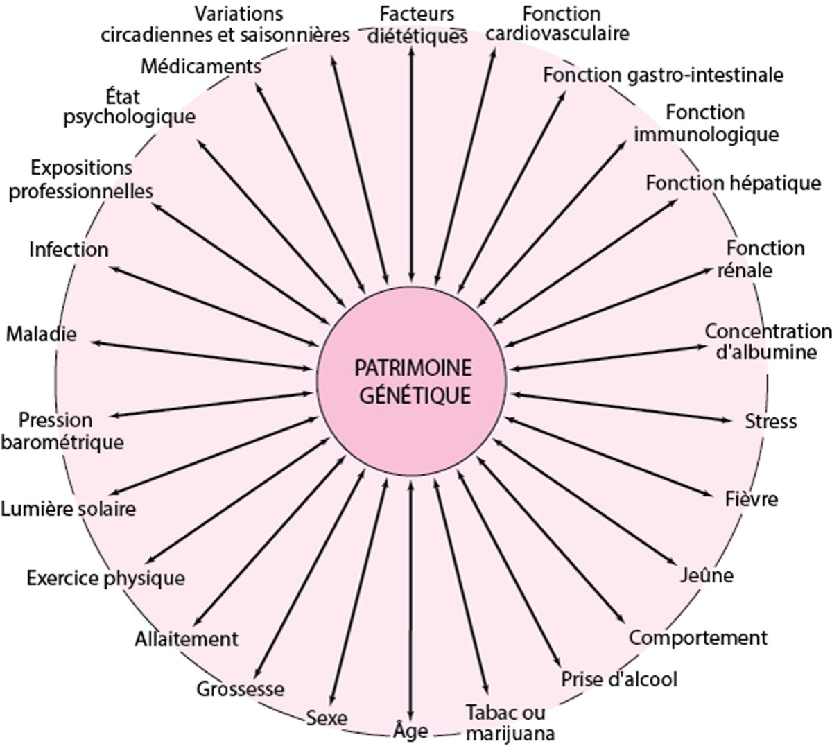 Facteurs génétiques, environnementaux et du développement pouvant interagir et induire des variations dans la réponse aux médicaments chez les patients