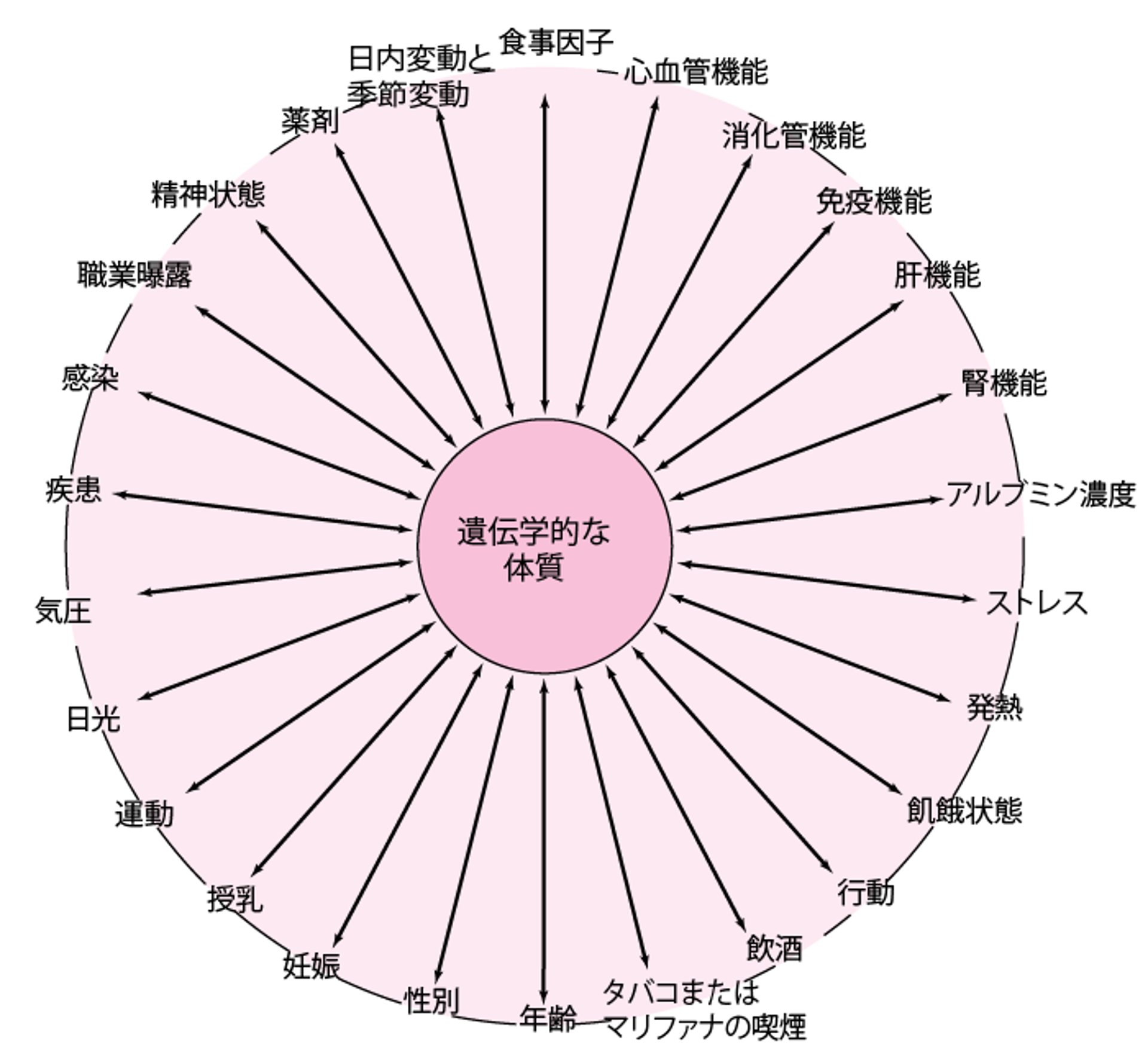 相互作用して患者間に薬物反応の差異を生じることがある遺伝，環境，および発達因子