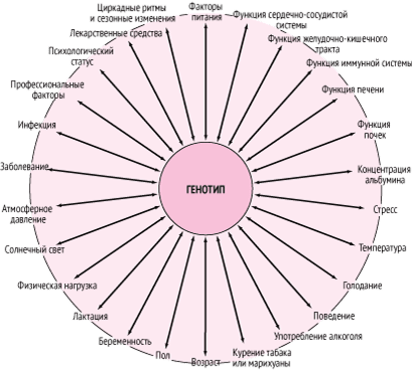 Генетические, экологические и иные факторы развития, которые могут взаимодействовать, вызывая побочную реакцию на ЛС среди пациентов