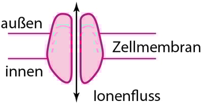 Einige Arten von physiologischen und Arzneimittel-Rezeptor-Proteinen