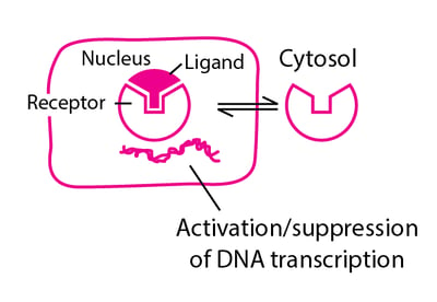 Some Types of Physiologic and Drug-Receptor Proteins