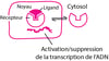 Quelques types de récepteurs protéiques physiologiques et pharmacologiques