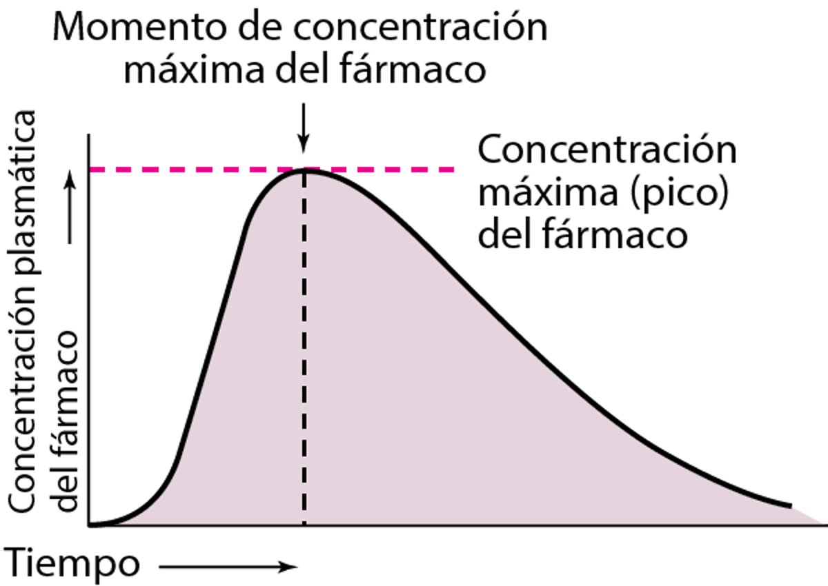Representación de la relación entre la concentración plasmática y el tiempo tras la administración por vía oral de una dosis única de un fármaco hipotético