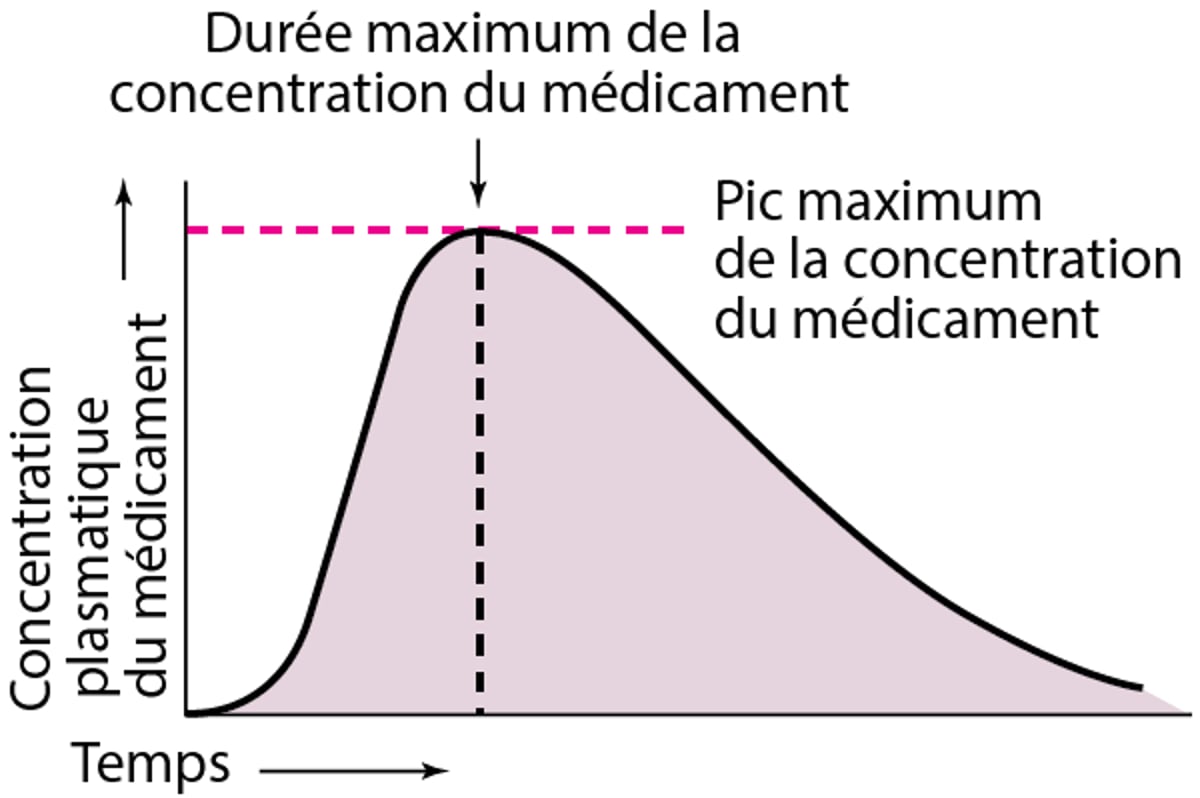 Évolution des concentrations plasmatiques en fonction du temps, après une administration orale unique d'un médicament hypothétique