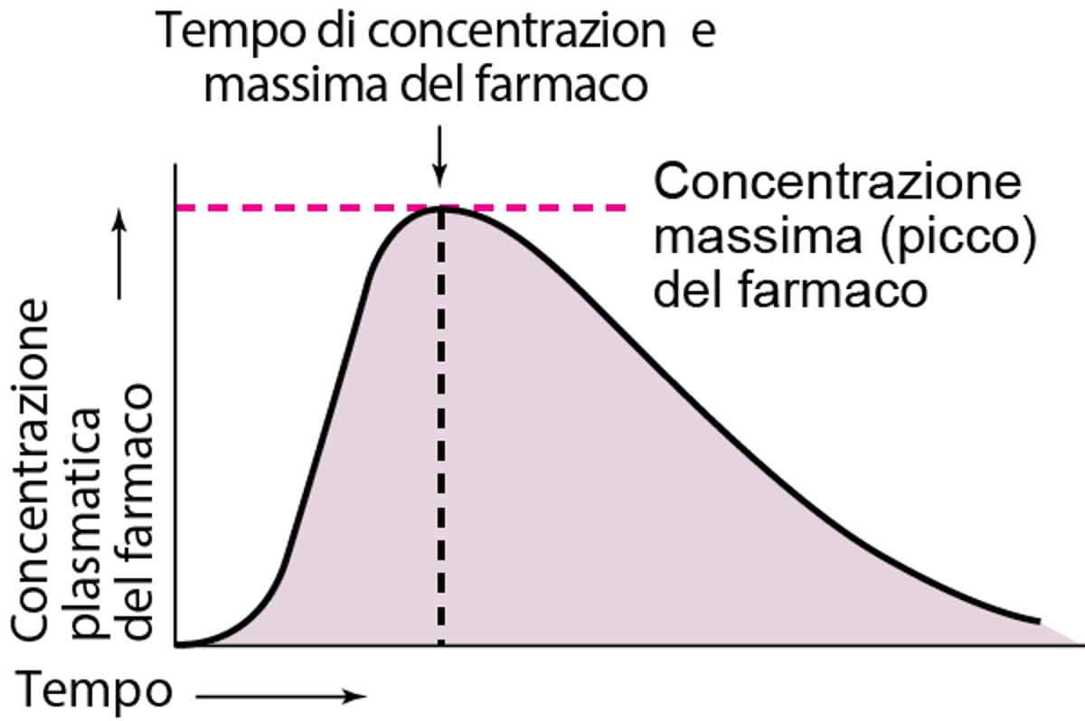 Concentrazione plasmatica rappresentativa nel tempo dopo somministrazione per via orale di una singola dose di un farmaco ipotetico