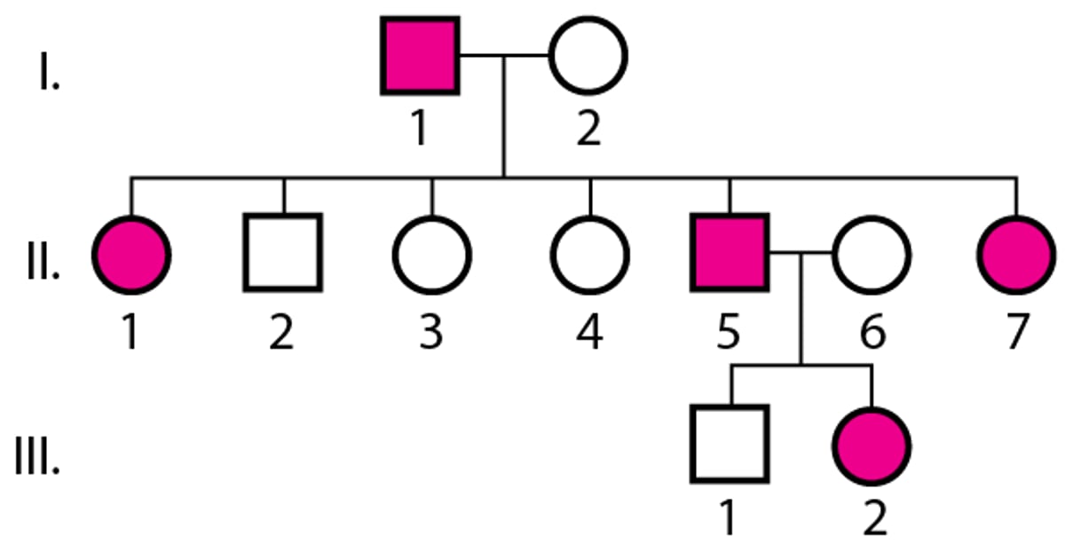 Autosomal Dominant Inheritance