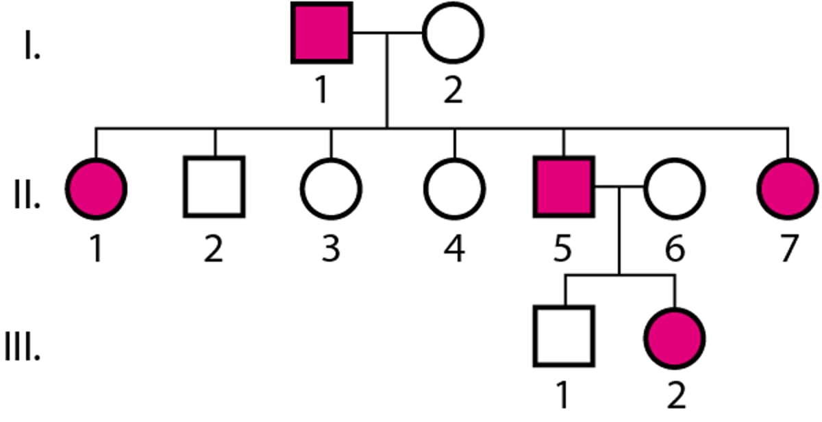 Autosomal-dominante Vererbung