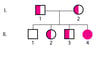 Autosomal recessive inheritance