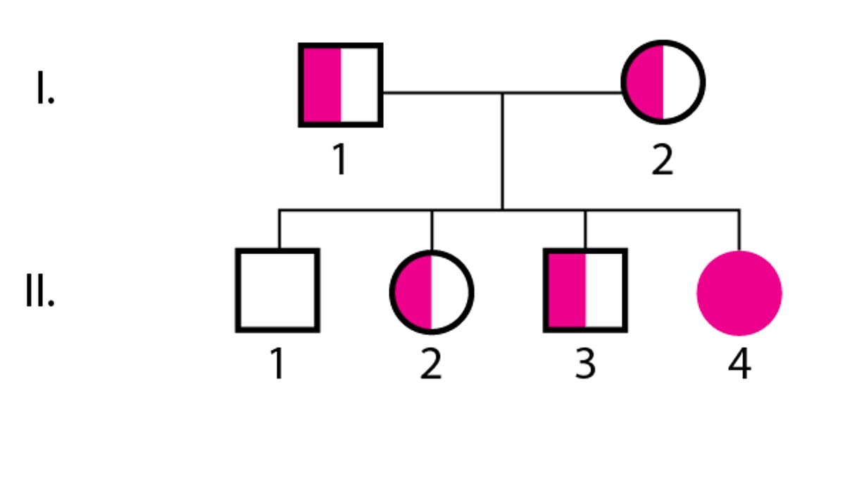 Autosomal Recessive Inheritance