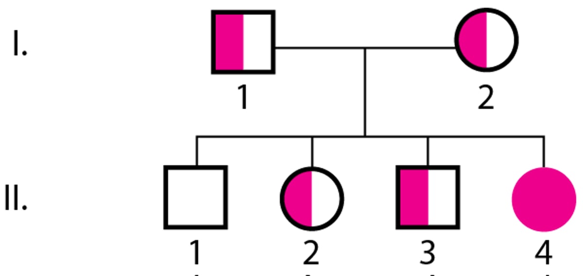 Transmission sur le mode autosomique récessif