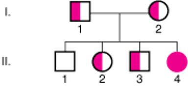 Аутосомно-рецессивное наследование