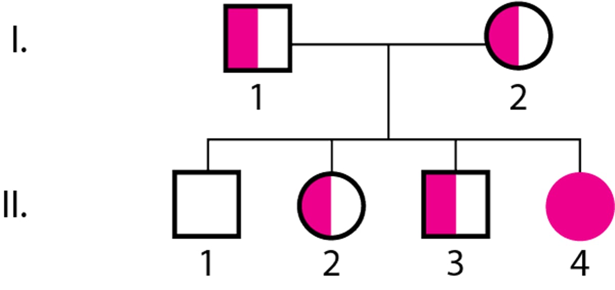 常染色体隐性遗传