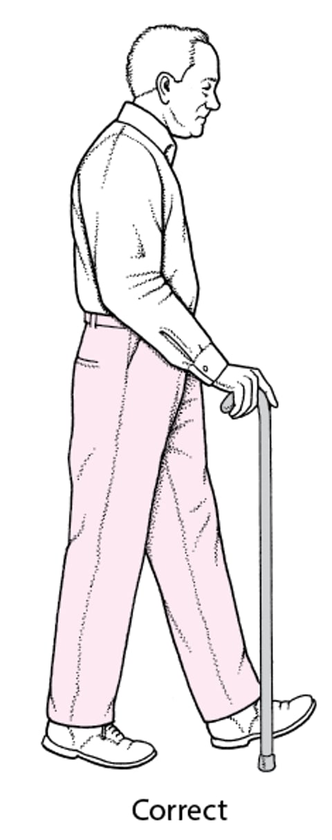 Correct Cane Height