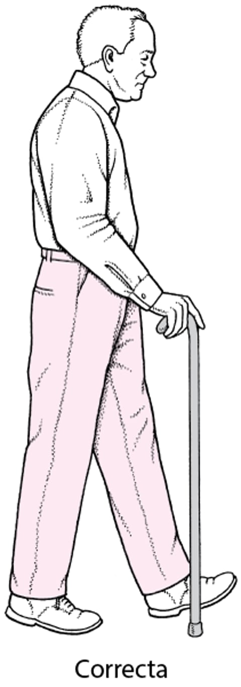 Altura correcta del bastón