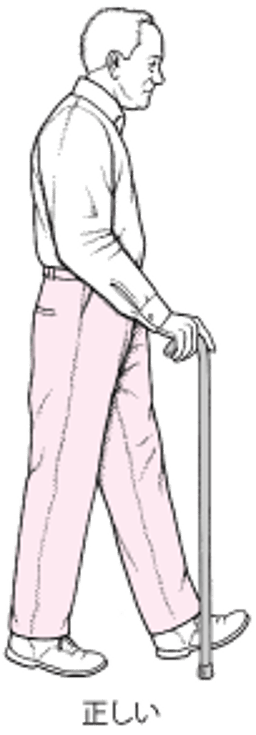 正しい杖の高さ