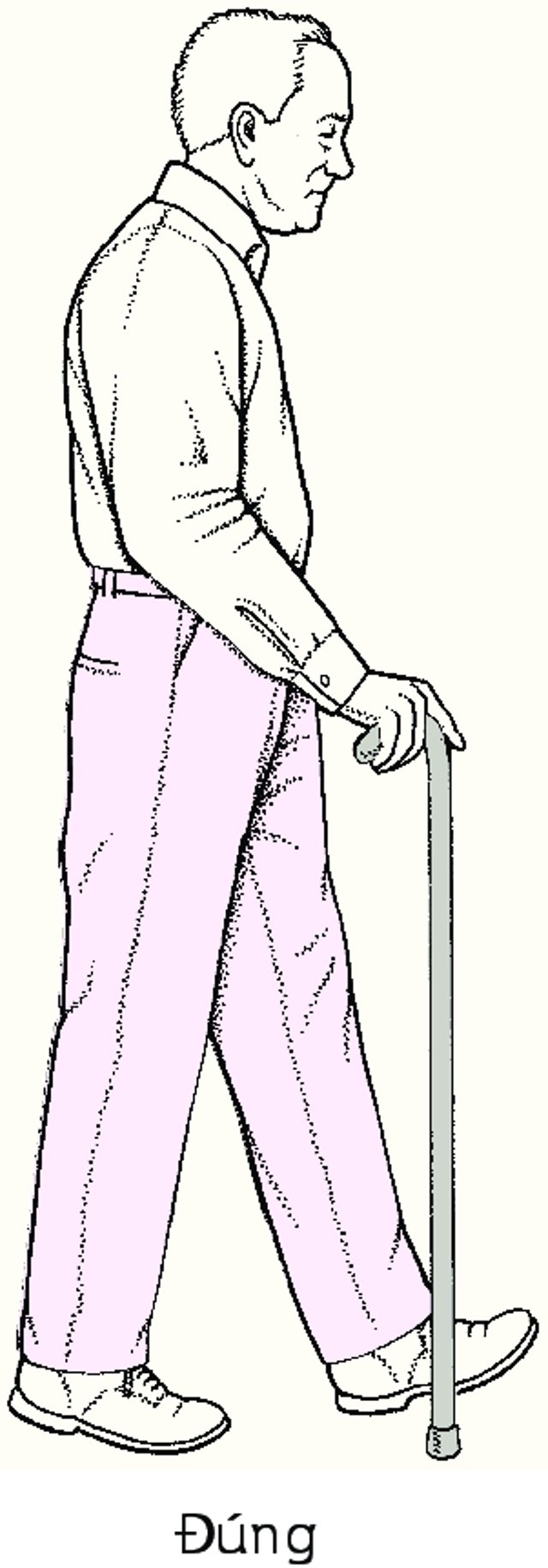 Chiều cao chính xác của gậy chống tập đi