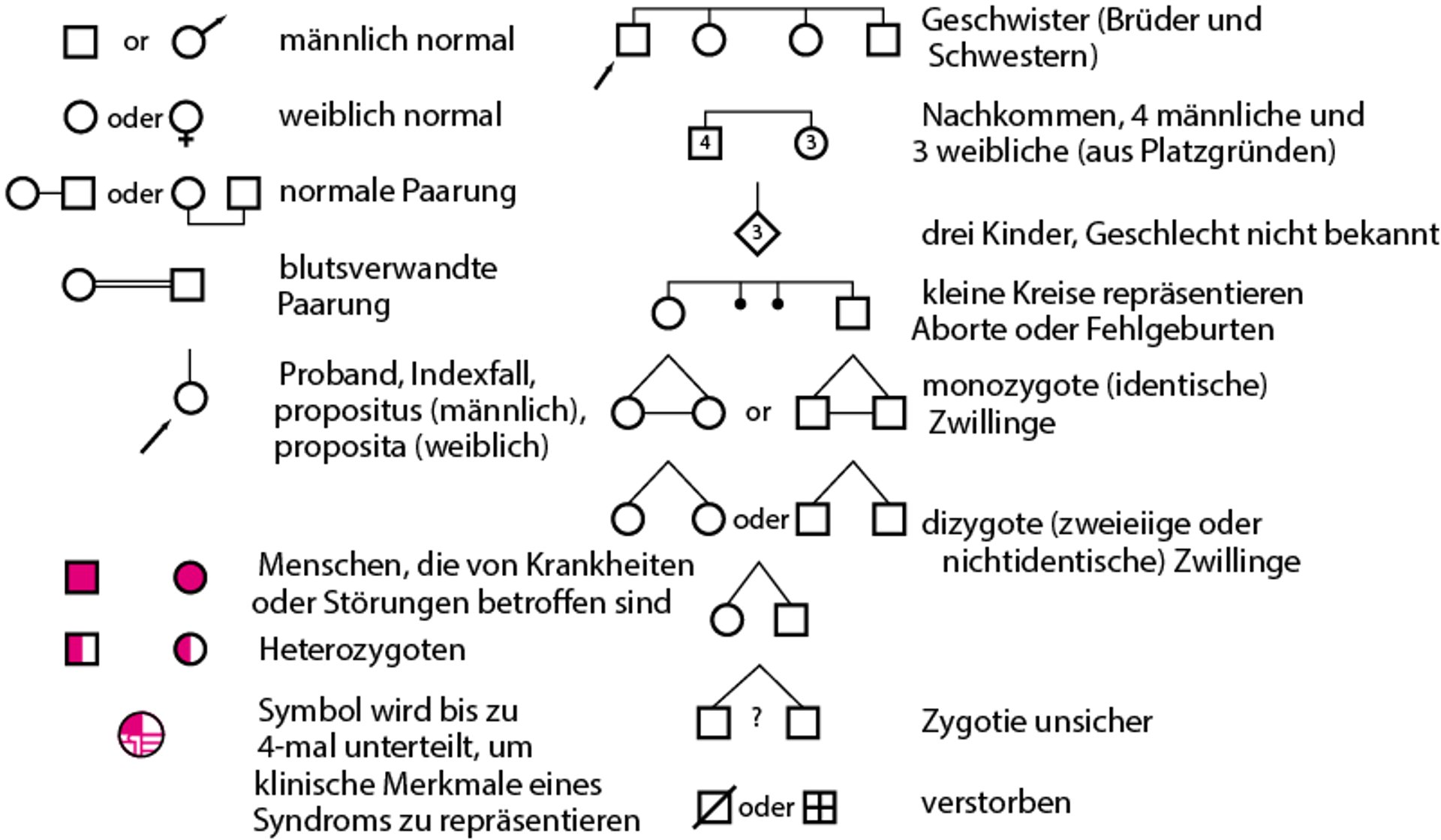 Symbole für den Aufbau eines Familienstammbaums