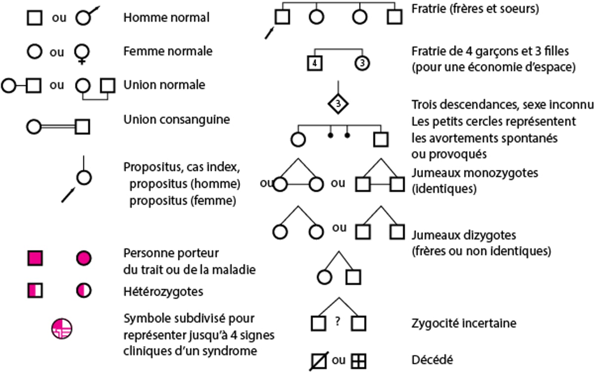 Symboles pour construire l'arbre généalogique d'une famille