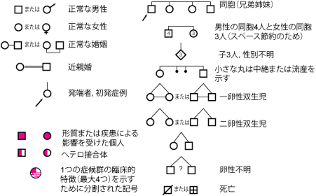 家系図作成のための記号