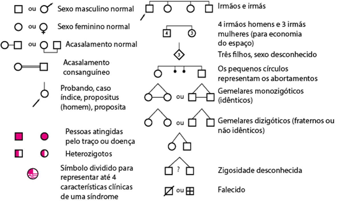 Símbolos para construção de um heredograma familiar