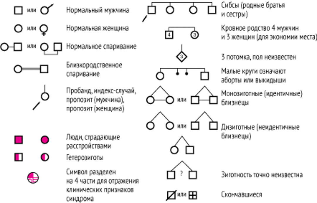 Символы для создания семейной генеалогии