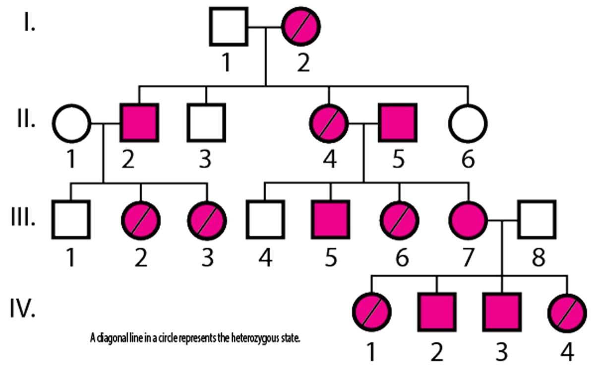 X-Linked Dominant Inheritance