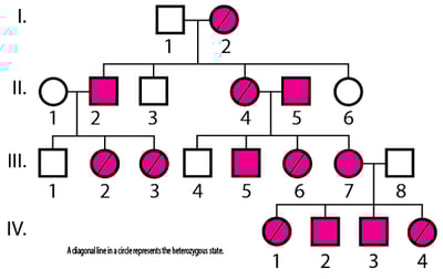 X-Linked Dominant Inheritance