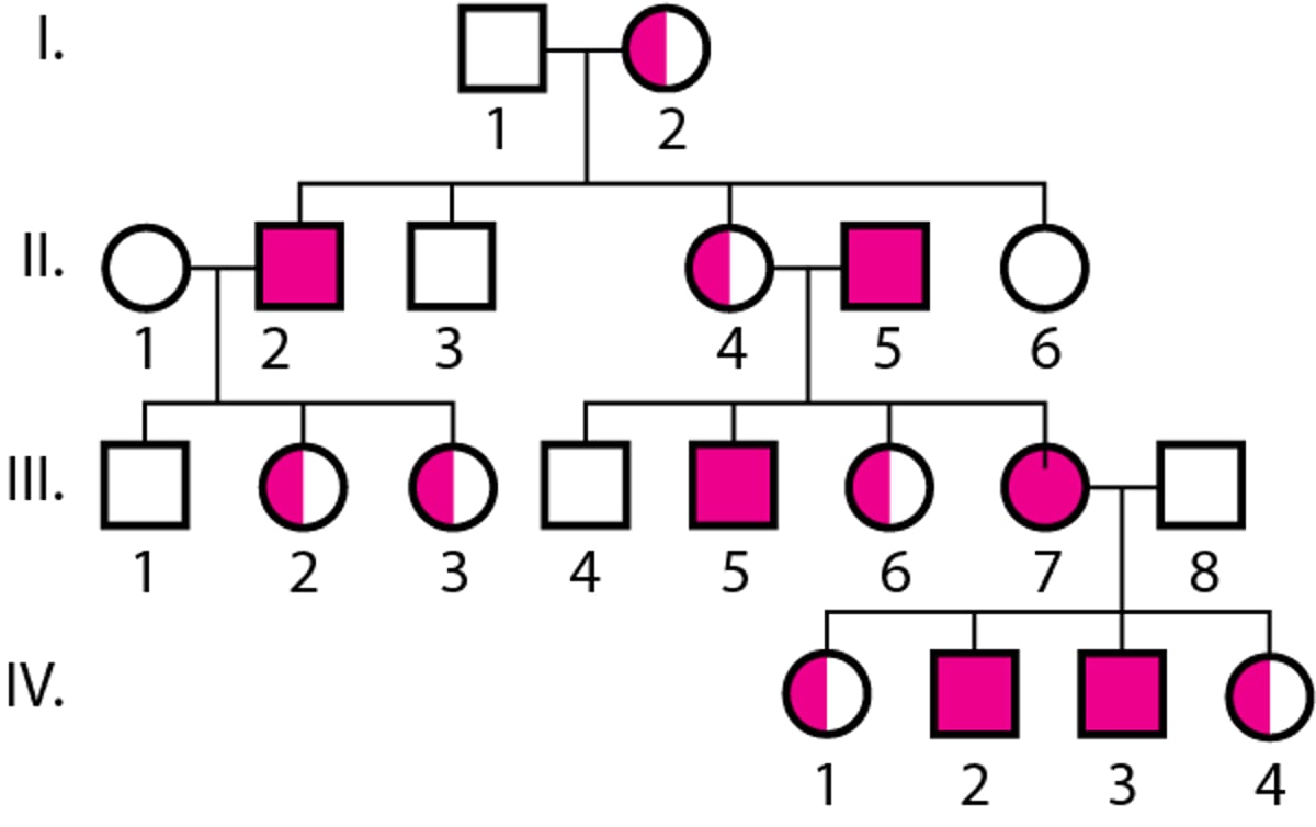 Herencia dominante ligada al X