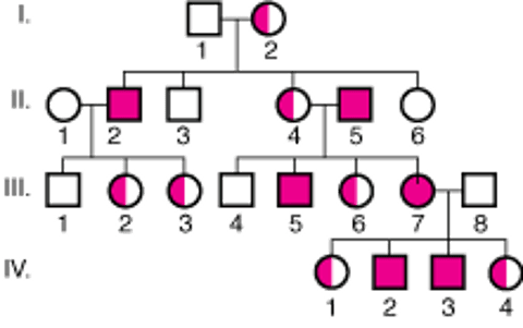 Сцепленное с Х-хромосомой доминантное наследование