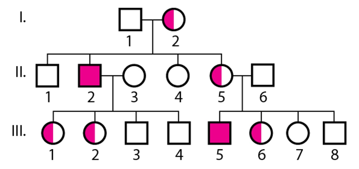 X-linked recessive inheritance