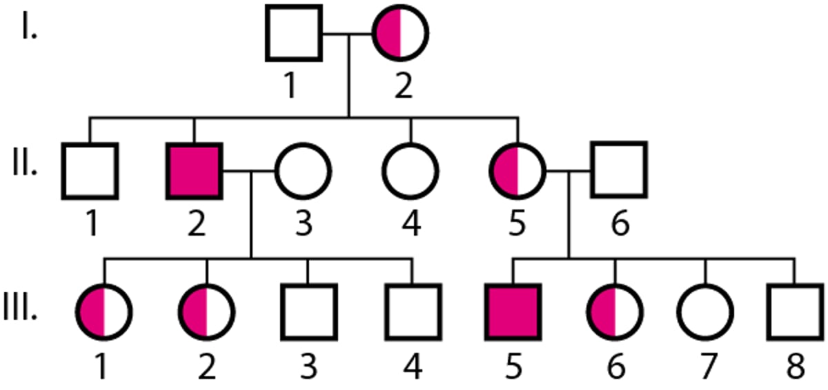 X-chromosomal-rezessive Vererbung