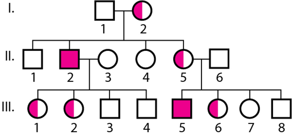 Ereditarietà recessiva legata all'X