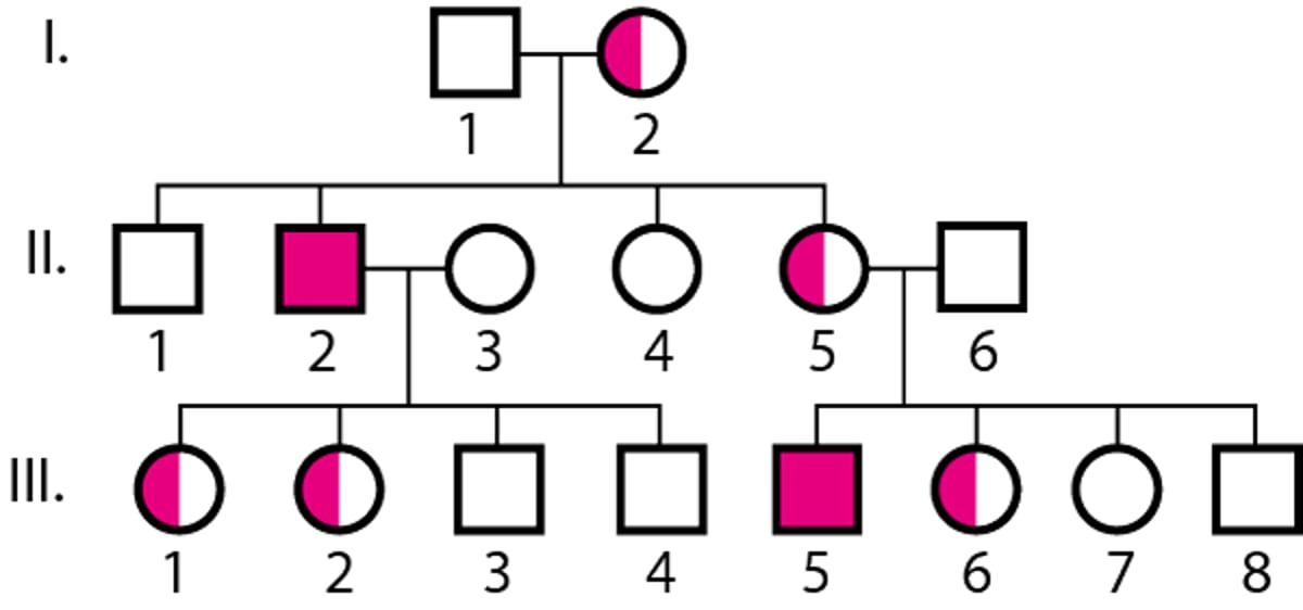 Herança recessiva ligada ao X
