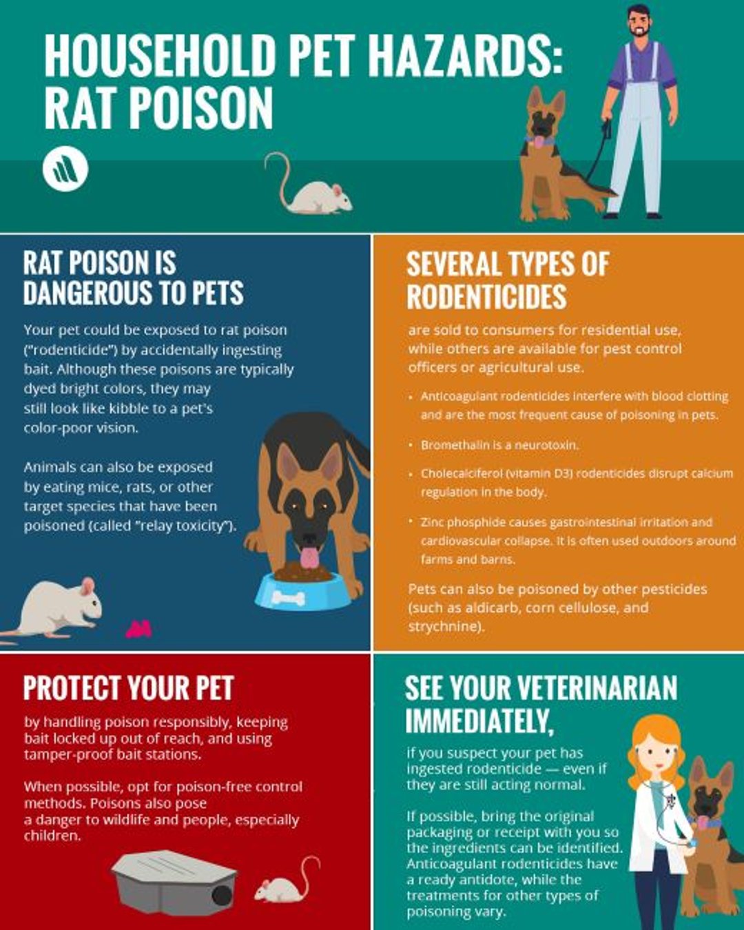 Peligros para los animales domésticos: raticidas