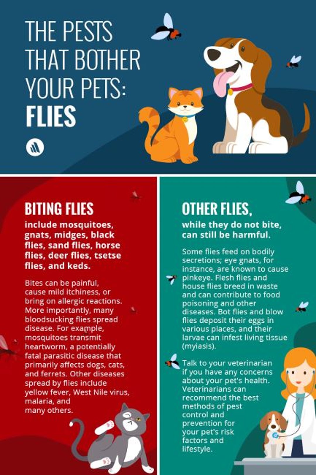 The Pests That Bother Your Pets: Flies