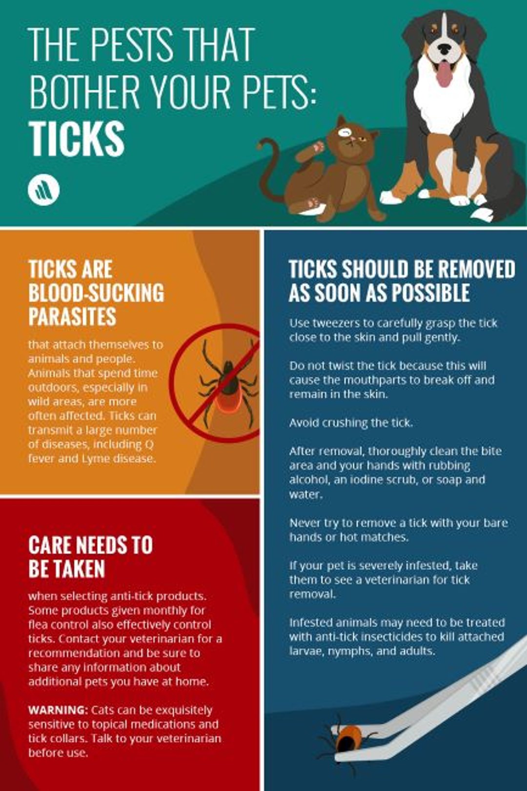 The Pests That Bother Your Pets: Ticks