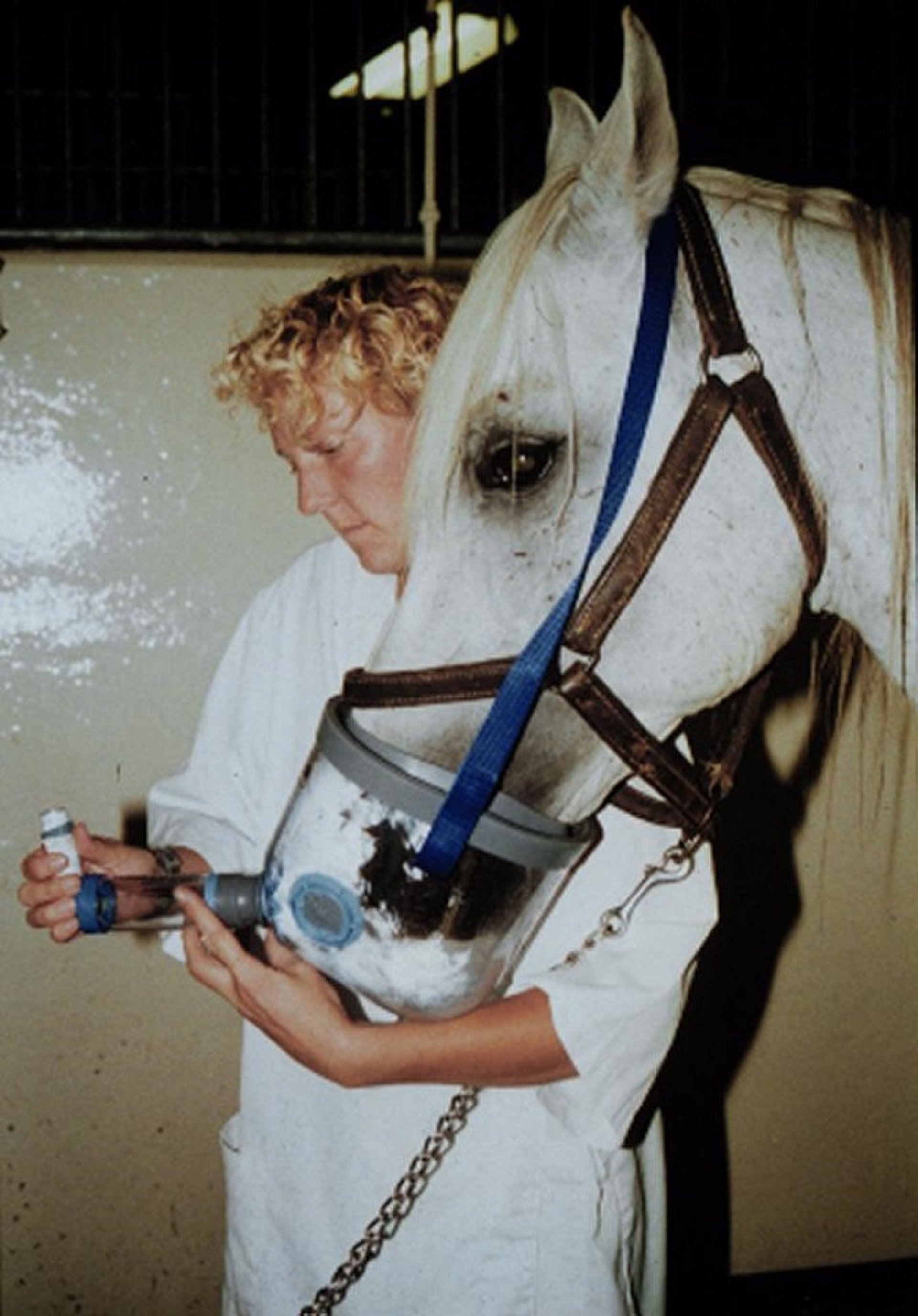 Metered-dose inhaler with spacer, horse