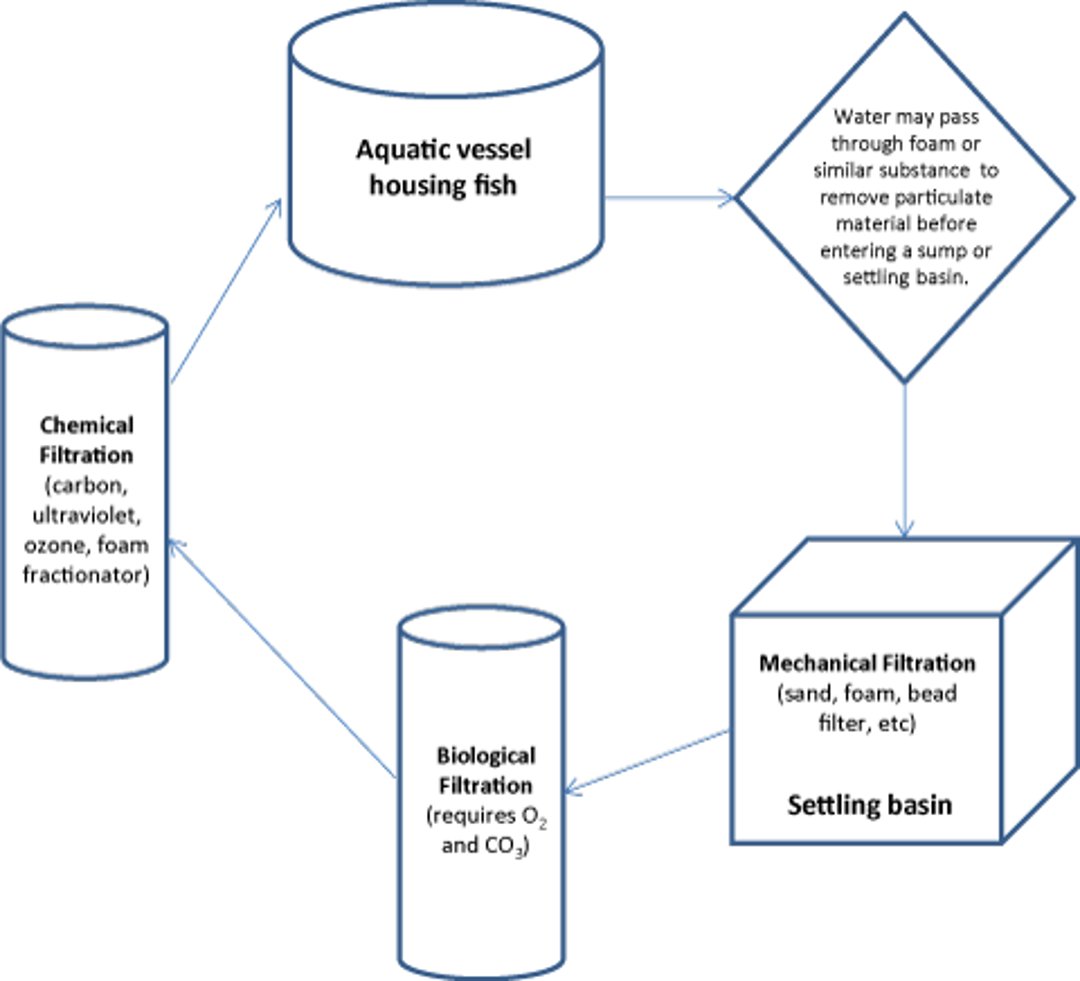 Aquatic life support system