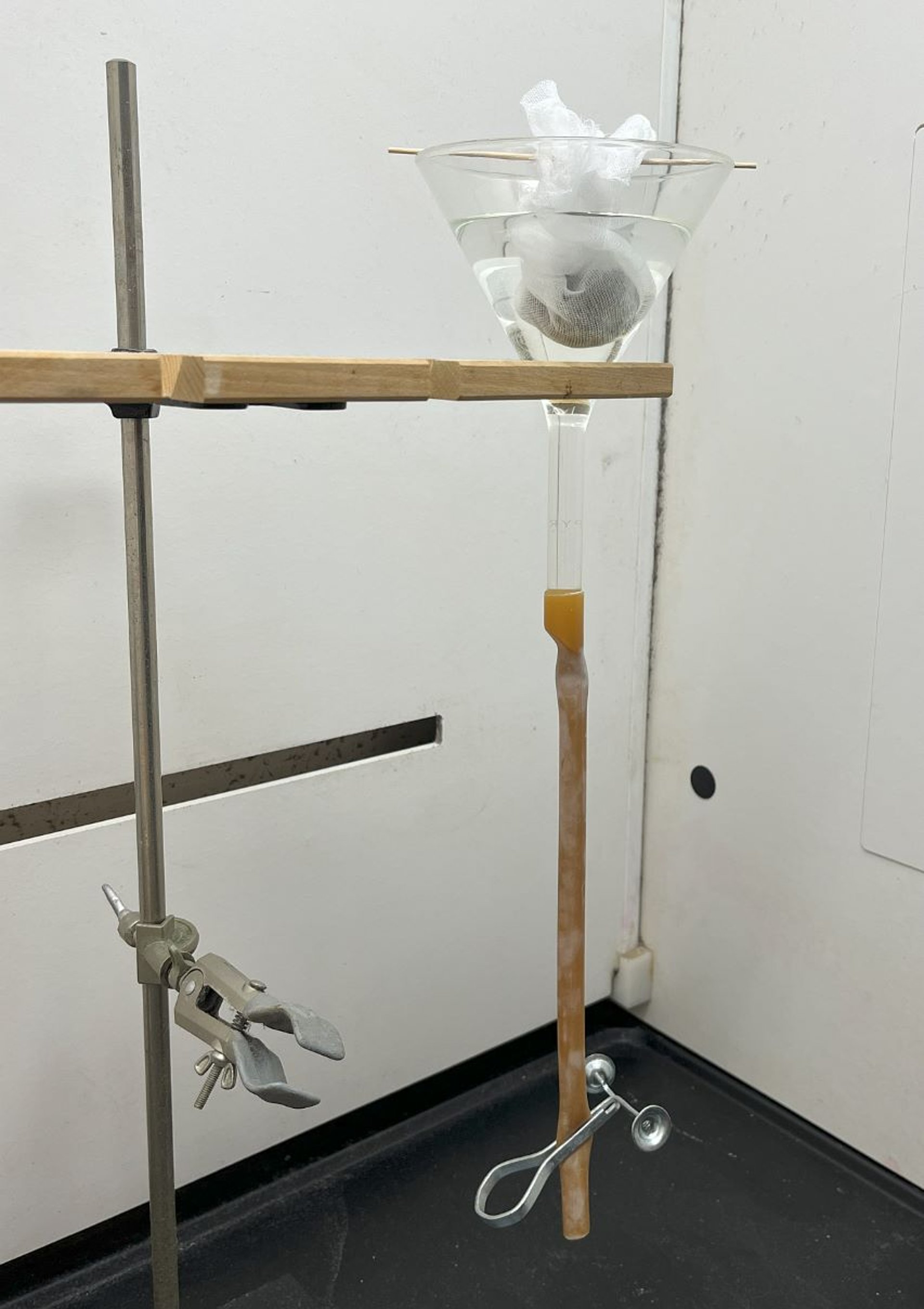 Preparación del examen de Baermann