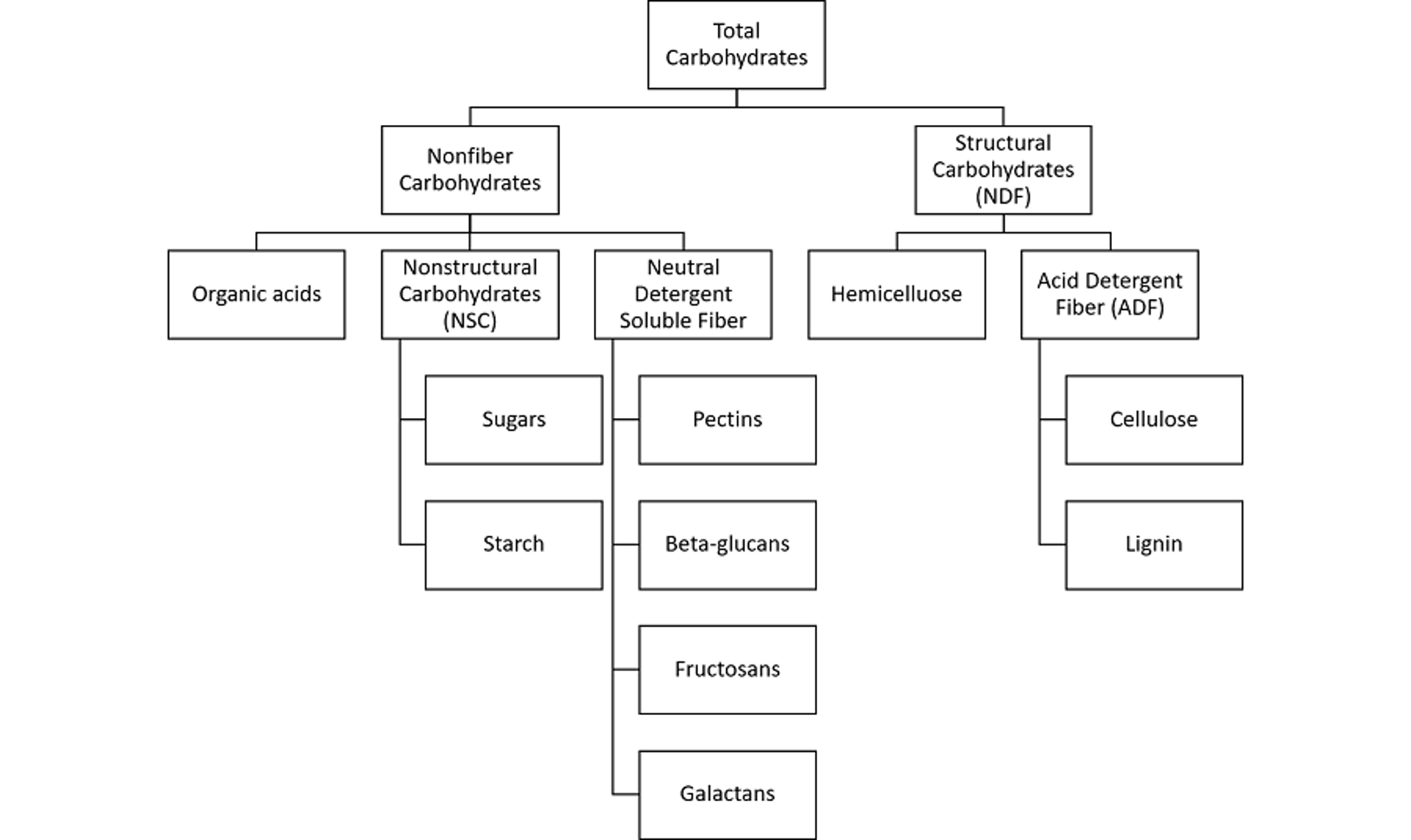 Plant carbohydrate fractions
