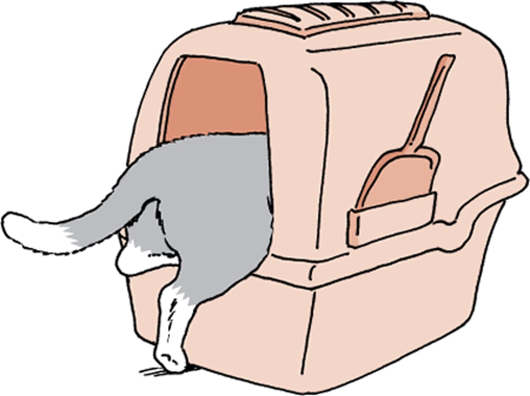 Litter box