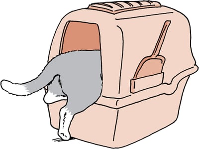 Litter box