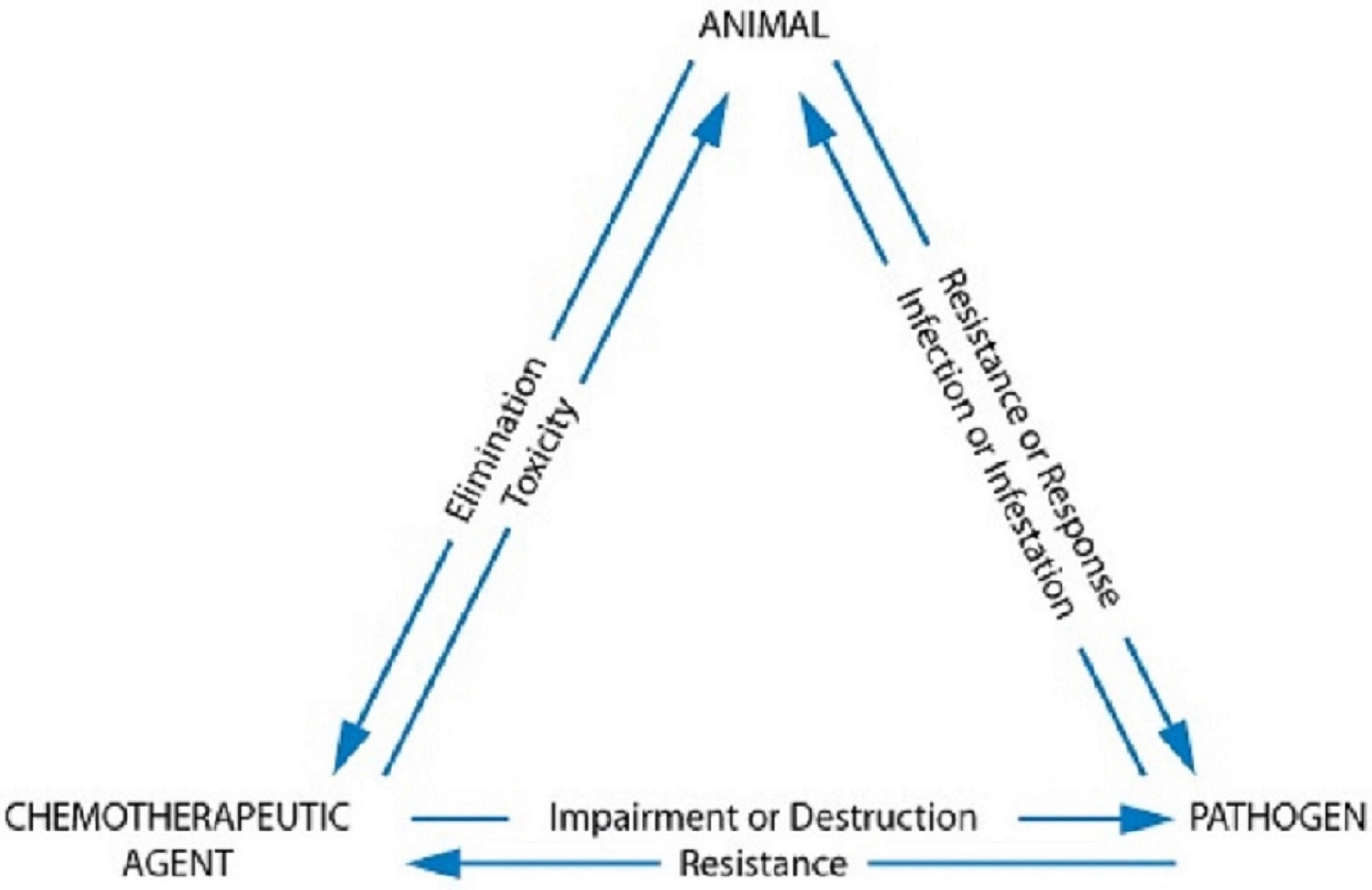 Chemotherapeutic triangle