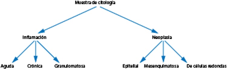 Algoritmo de citología
