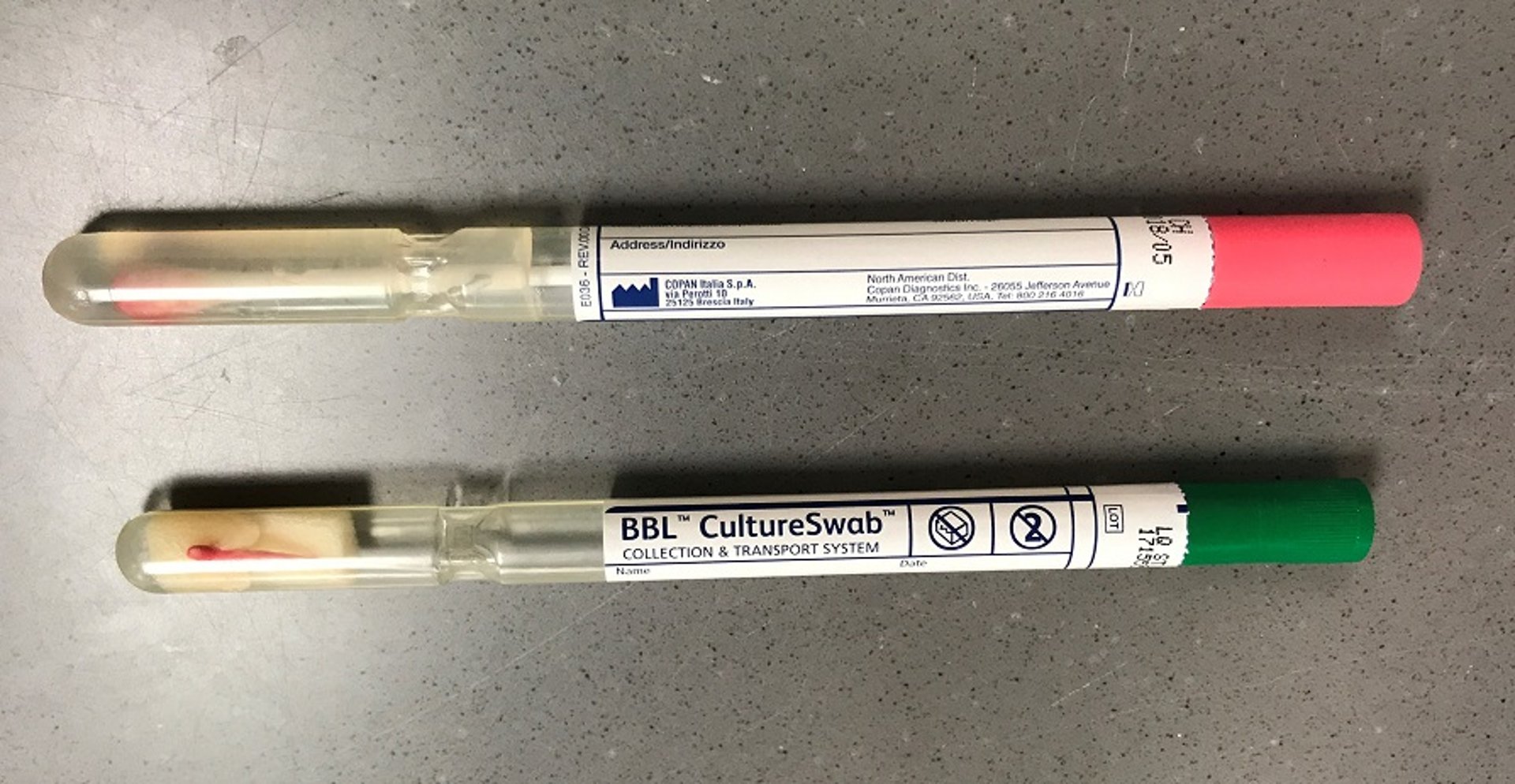 Swab para cultura