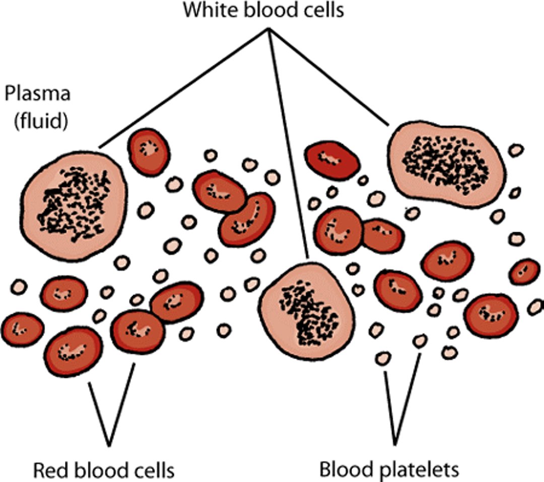 Blood components