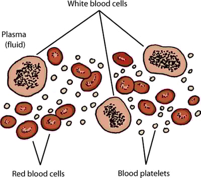 Blood components