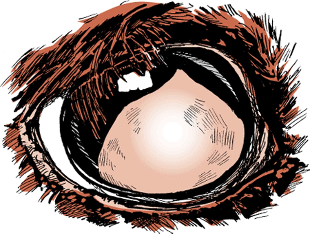 Equine recurrent uveitis